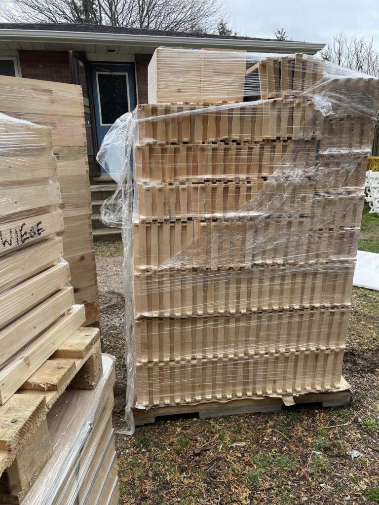 Disease Resistance in Bees – Bee Frames 
