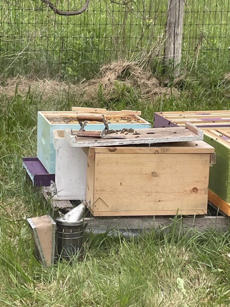Journey as Beekeepers