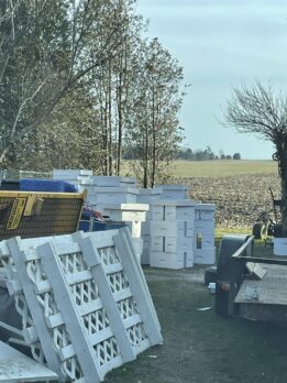 Silver Creeks Bees