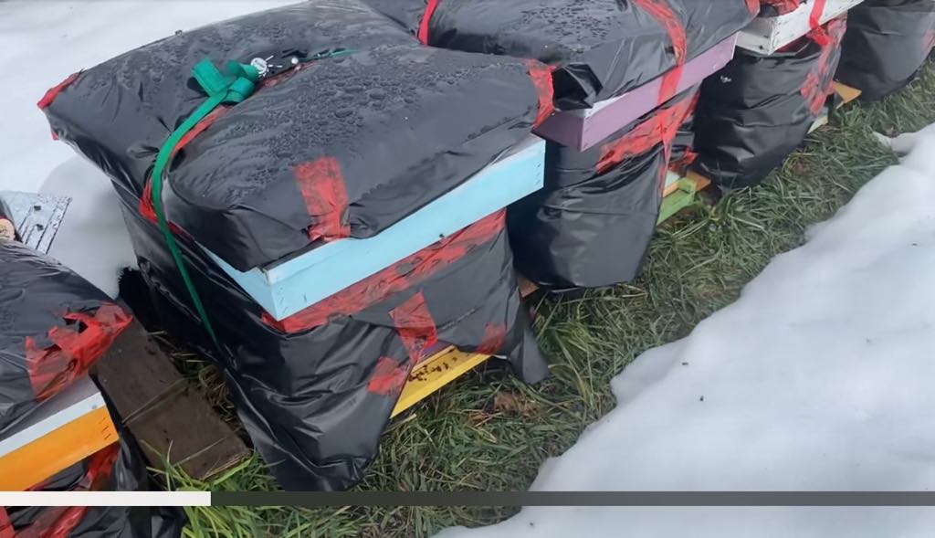Overwintering - To Vent or Not to Vent Hives
