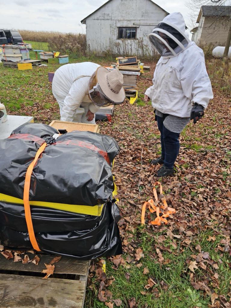 bee farming for beginners Ontario
