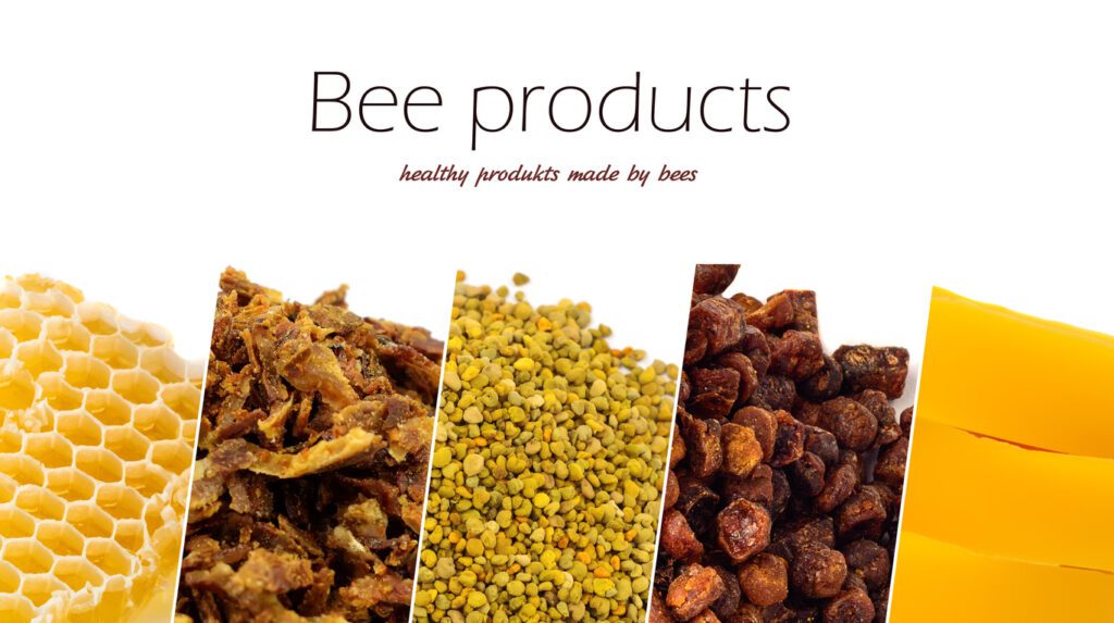 Honey, Honey comb, propolis, pollen, bee wax