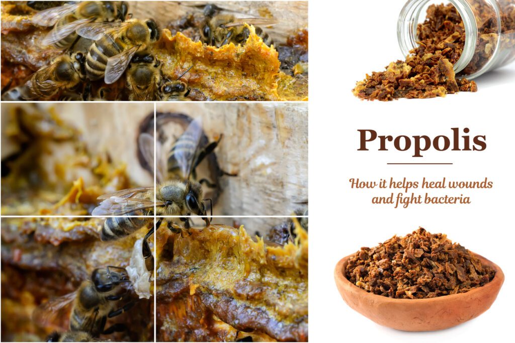 apiary farming profitable successful